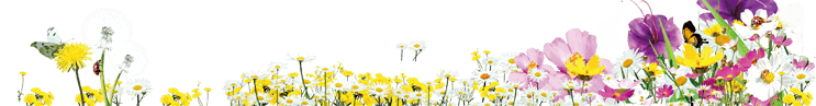 3D宜蘭貝悅民宿-巴頓四人房