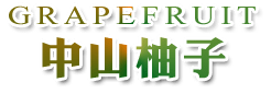 3D宜蘭民宿．中山悠閣民宿雞場土雞城-中山柚子